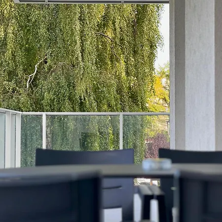 4summer Golden Hour Parking * 코워브제크